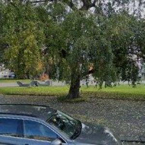 obrazek: avatar TISK SARPET s.r.o.