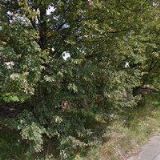 KRAMNÝ KAMIL-STAVEBNÍ STROJE