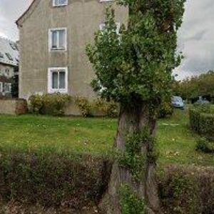 obrazek: avatar STŘECHY BOBEK