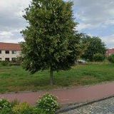 HRDLIČKA JIŘÍ-KÁCENÍ PŘEROV