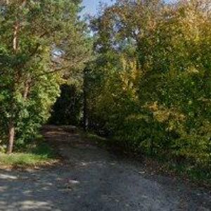 obrazek: avatar SKOPAL DALIBOR Ing.-LOMBARD