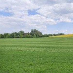 obrazek: avatar KITTEC, a.s.