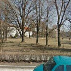 obrazek: avatar MAGDZIAK MILAN