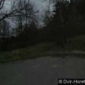 obrazek: avatar KHIN VÁCLAV-SPI