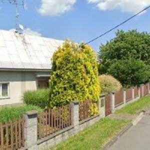 obrazek: avatar DK MAJOLIKA