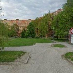 obrazek: avatar TOKARSKÝ VLADAN