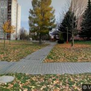 obrazek: avatar MYŠKA JAN