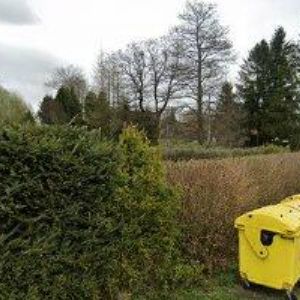 obrazek: avatar FIALA ALOIS