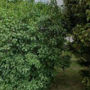 obrazek: avatar ONDRERAX s.r.o.