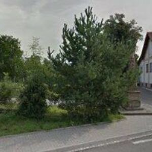 obrazek: avatar OLŠANSKÝ ZBYNĚK