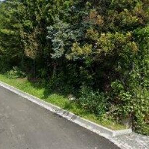 obrazek: avatar STŘECHY KRÁLÍK