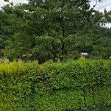 VÝŠKOVÉ PRÁCE HAVÍŘOV, s.r.o.