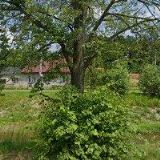 TŮMA JOSEF A SYN-TESAŘSTVÍ A TRUHLÁŘSTVÍ