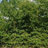 ROUČKA ARMATURY, a.s.