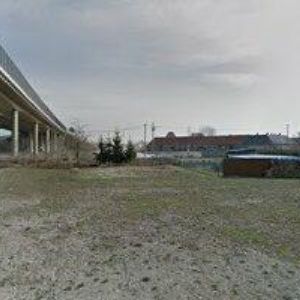 obrazek: avatar DIVIN ADAM