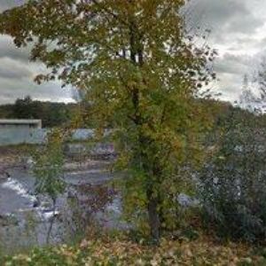 obrazek: avatar KRÖMER RADIM