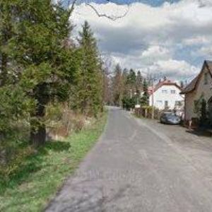 obrazek: avatar RAŠKA MARTIN-GLOBAL