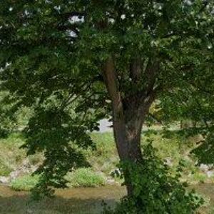 obrazek: avatar TESAŘSTVÍ JAŠEK