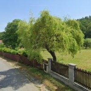 obrazek: avatar HAPPY WOOD SE