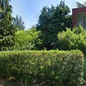 obrazek: avatar CHRBJÁT ONDŘEJ