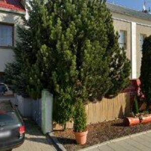 obrazek: avatar FAKSA-STRAKA, s.r.o.