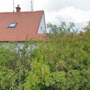 obrazek: avatar MALKR