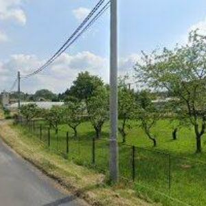 obrazek: avatar GD REKLAMA