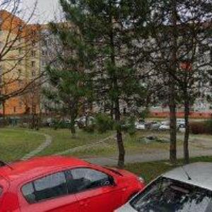 obrazek: avatar ŽILA PETR