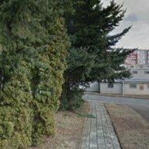 obrazek: avatar YSO MARKETING