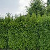 ZHL LOŽISKA, s.r.o.