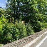 PALÍRNA-KOVO, s.r.o.