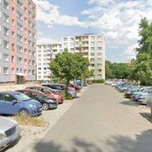 obrazek: avatar PRÁŠILÍK ZDENĚK