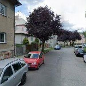 obrazek: avatar ONLINE REPUTACE.CZ