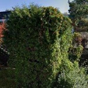 obrazek: avatar KSK KOVO spol. s r.o.