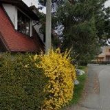 HAROK OLDŘICH-TISKÁRNA