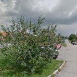 ORIGINALFOTO-SVATEBNÍ FOTOGRAF