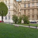 LANČOVÁ ŠÁRKA Mgr.