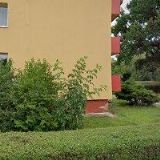 ŠTENCEK JIŘÍ MgA.