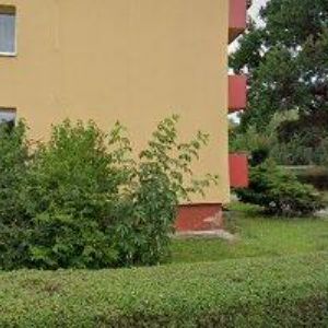 obrazek: avatar ŠTENCEK JIŘÍ MgA.