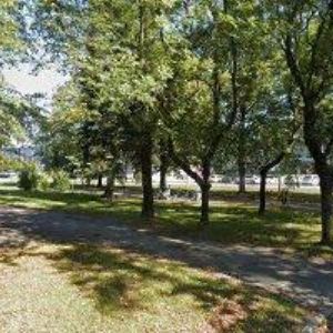 obrazek: avatar PALKOVIČOVÁ EVA