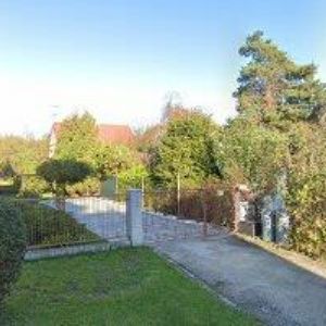 obrazek: avatar KISZA ZENON