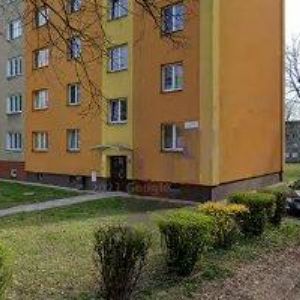 obrazek: avatar BERNATÍKOVÁ MICHAELA