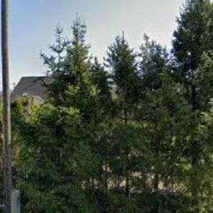 obrazek: avatar KOČARA JIŘÍ Ing.