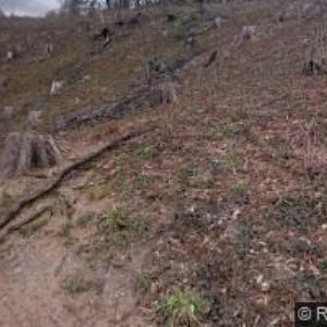 obrazek: avatar GELLEROVÁ DAJA