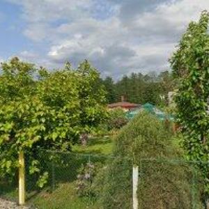 obrazek: avatar BOHEMIA MARTEN CORPORATION a.s.