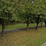 RELEX-VÝROBA KALENDÁŘŮ