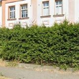 BURŠÍKOVÁ LENKA ING.