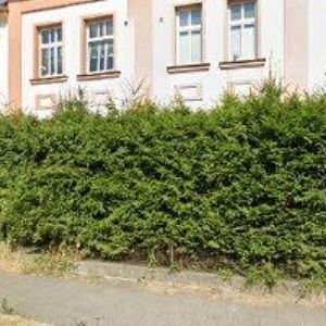 obrazek: avatar BURŠÍKOVÁ LENKA ING.