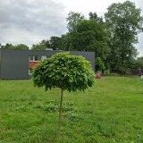 SCHMUCKER ANTONÍN Ing.