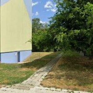 obrazek: avatar CHOCHOLA VÁCLAV